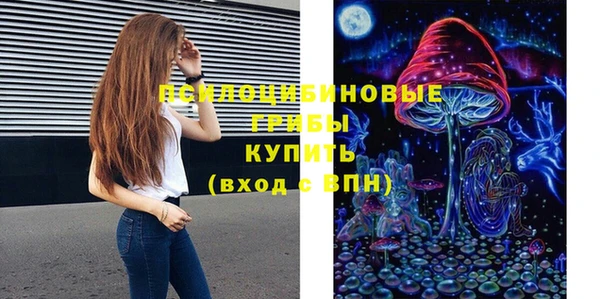 ПСИЛОЦИБИНОВЫЕ ГРИБЫ Навашино