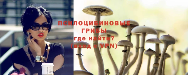 гашик Наволоки