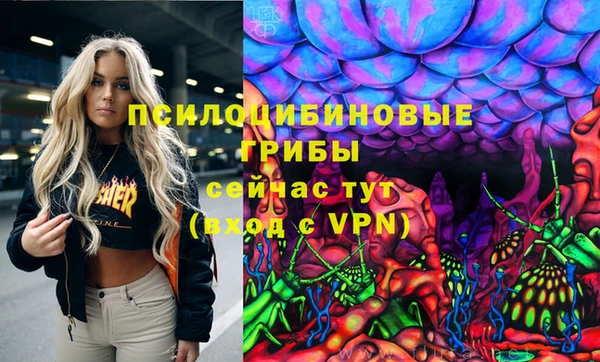 ПСИЛОЦИБИНОВЫЕ ГРИБЫ Навашино