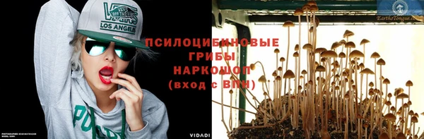 ПСИЛОЦИБИНОВЫЕ ГРИБЫ Навашино