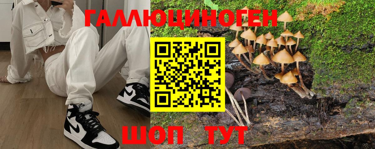 Псилоцибиновые грибы мухоморы Южноуральск